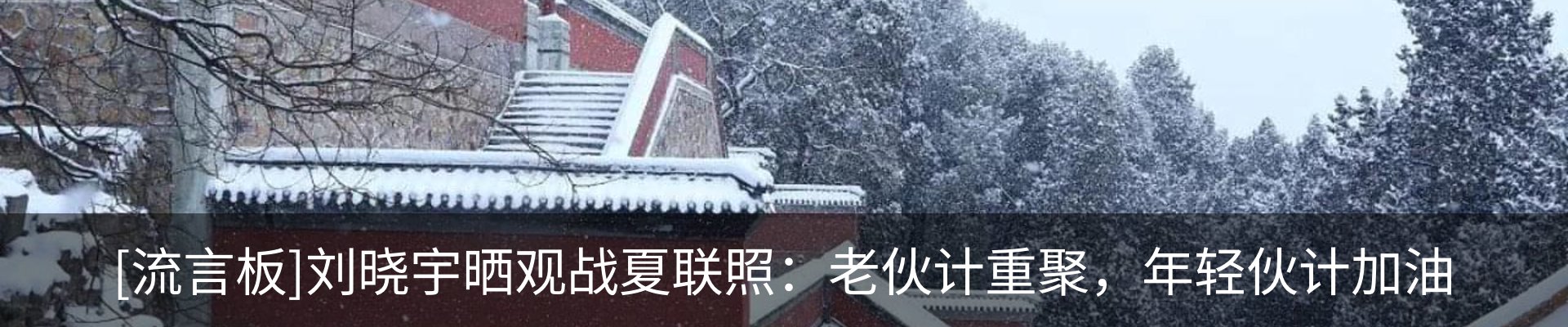 新闻动态
